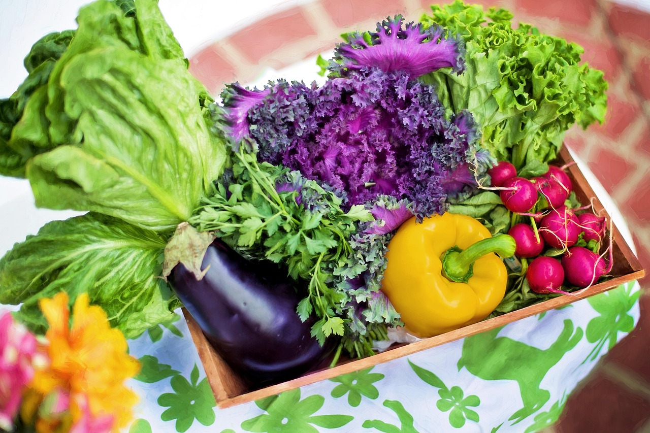 entdecken sie die welt der ernährung: gesunde rezepte, praktische tipps und wissenschaftlich fundierte informationen, um ihre ernährung zu verbessern und ihr wohlbefinden zu steigern.