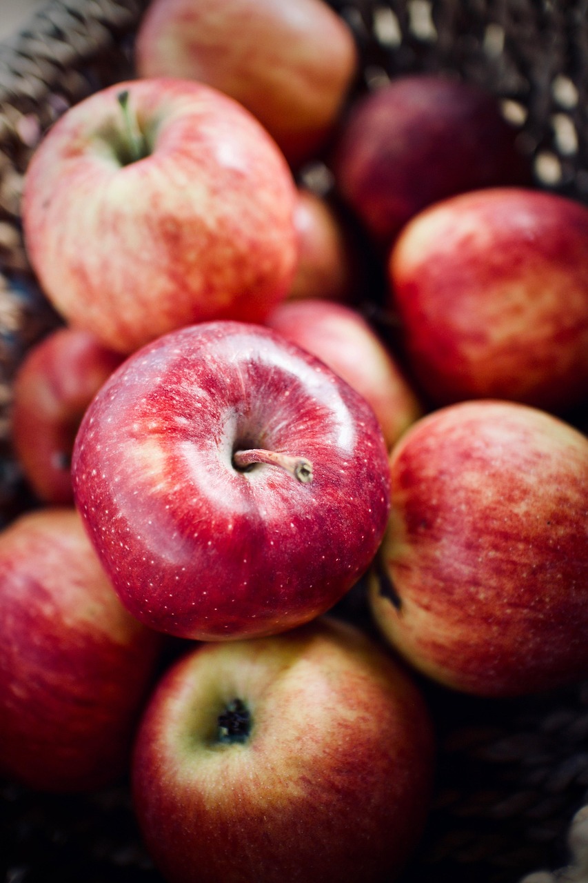 entdecken sie die grundlagen der ernährung, gesunde essgewohnheiten und wertvolle tipps für eine ausgewogene ernährung, um ihr wohlbefinden zu steigern und ihre fitnessziele zu erreichen.