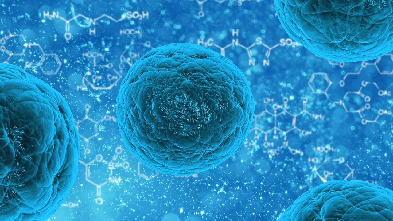 erfahren sie alles über das gesundheitswesen: innovative lösungen, aktuelle trends und wichtige informationen zur verbesserung der gesundheitsversorgung.
