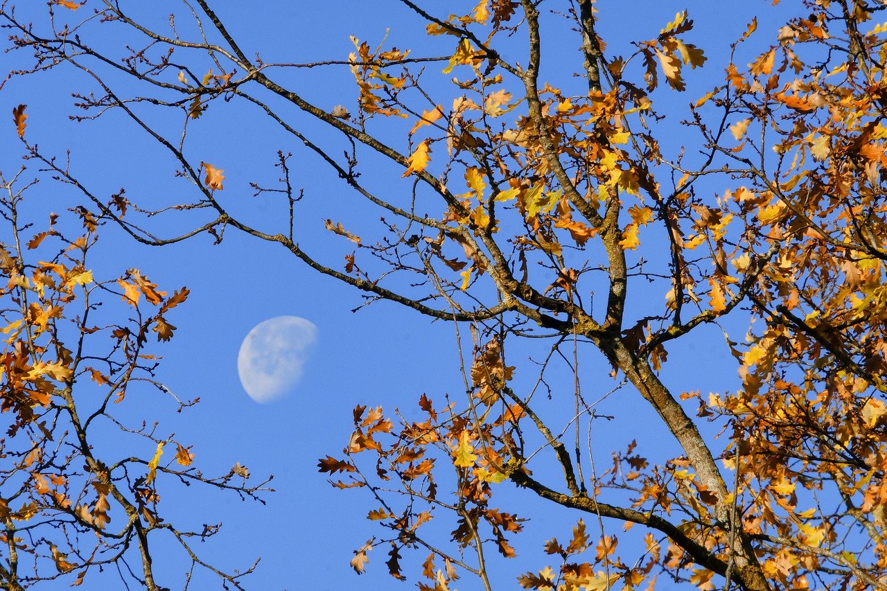 So schaffen sie einen positiven eindruck mit worten