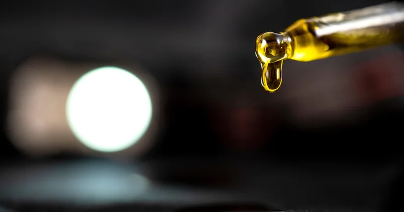 Woran Sie gute CBD Gummibärchen erkennen – oder eben nicht