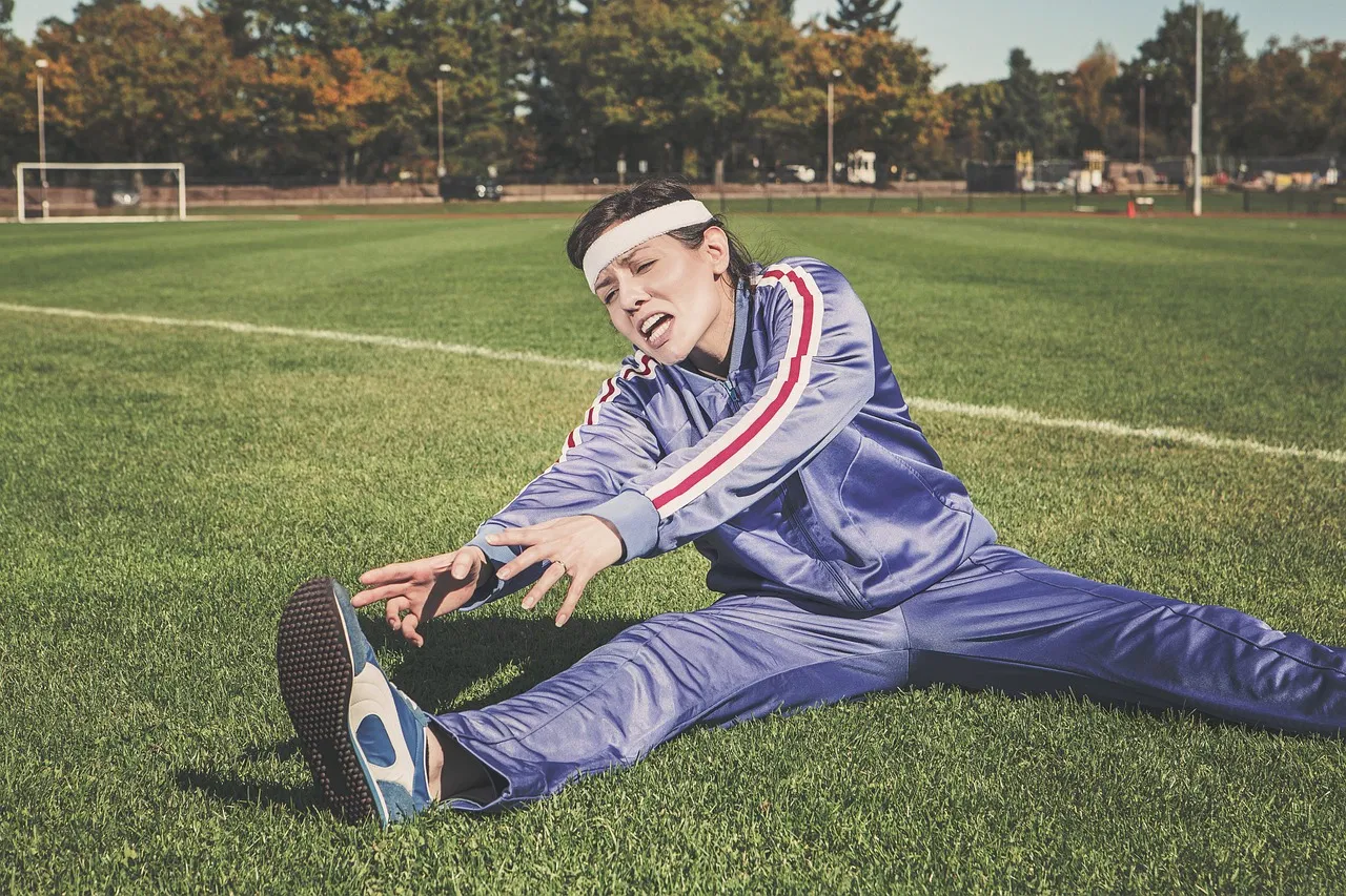 Haustiertraining: Effektive Methoden für ein glückliches Zusammenleben mit Ihrem Tier