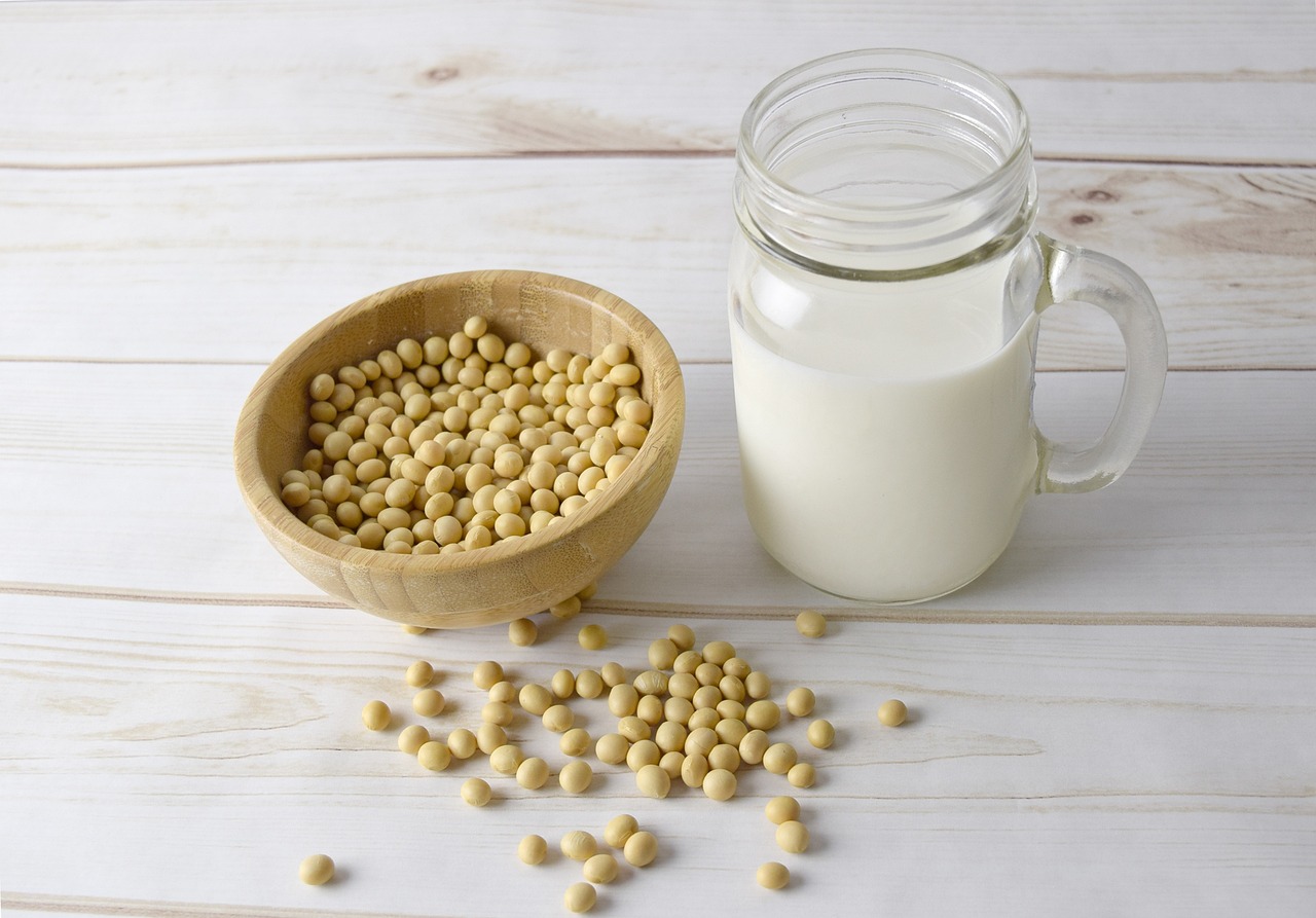 Fleischlos kochen: Tipps und kreative Rezepte für eine pflanzenbasierte Ernährung