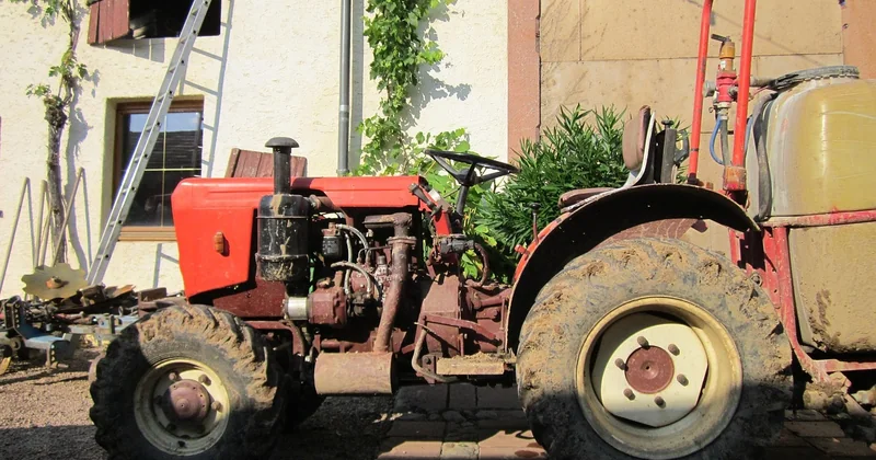 Veranstaltungen, Öffnungszeiten und der Alltag im Weingut