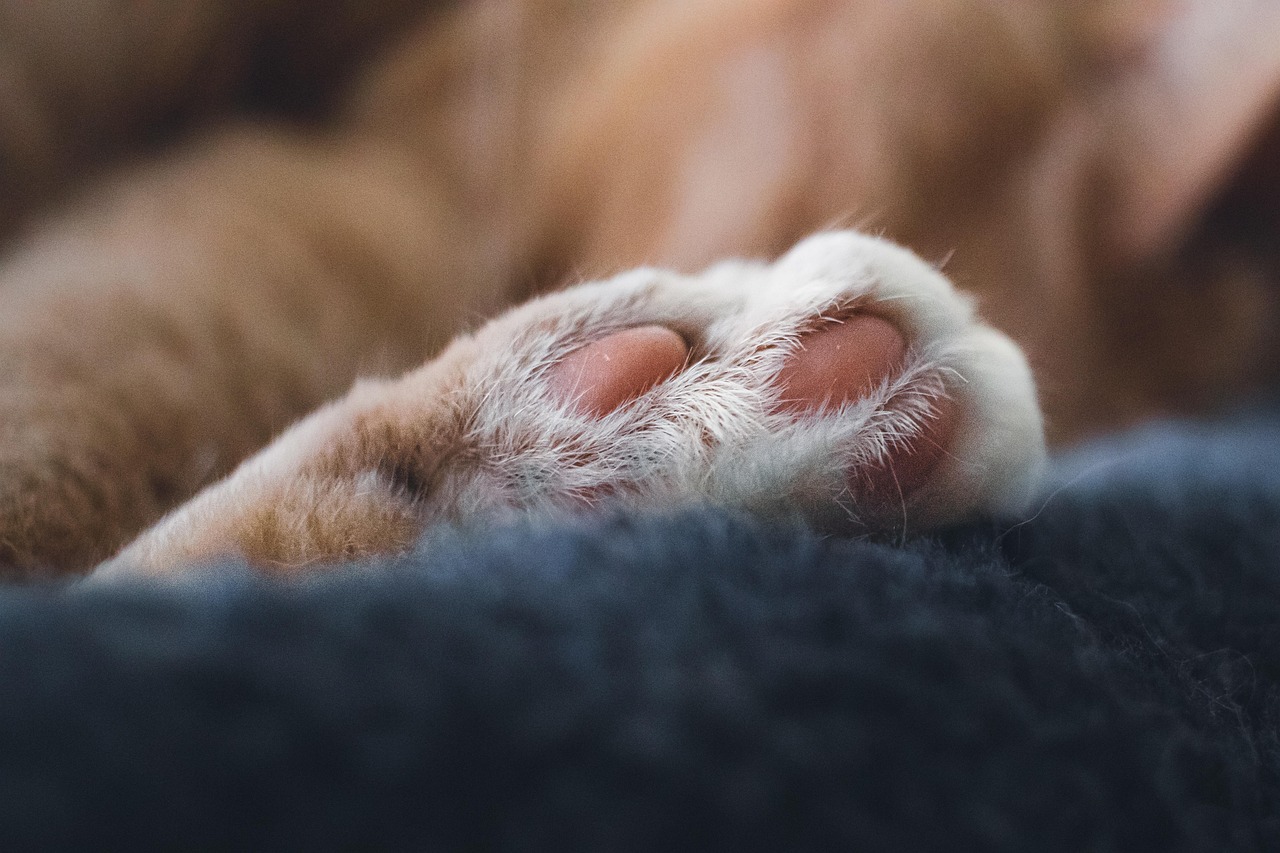 entdecken sie die gemütlichkeit mit unserem sortiment an stilvollen und einladenden wohnaccessoires, die ihrem zuhause wärme und komfort verleihen. perfekt für entspannte abende und gesellige runden!