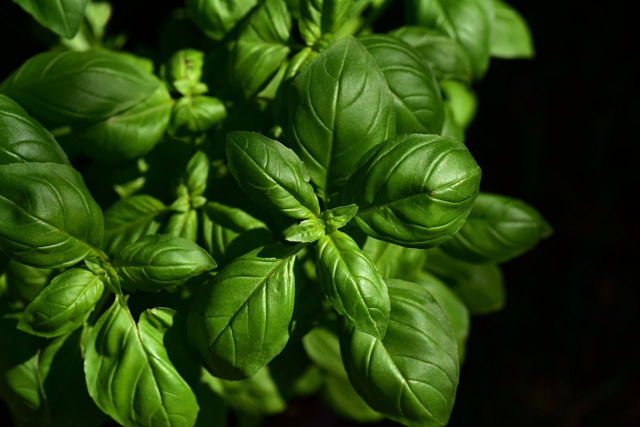 entdecken sie die neuesten kulinarischen trends, die die gastronomie revolutionieren! von innovativen zutaten bis hin zu einzigartigen kochtechniken – lassen sie sich inspirieren und bringen sie frischen wind in ihre küche.