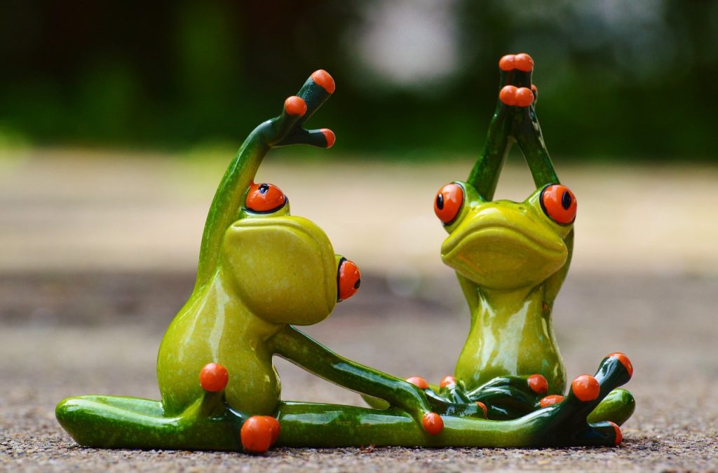 entdecken sie die besten fitness-tipps, trainingspläne und ernährungstrategien, um ihre gesundheitsziele zu erreichen und einen aktiven lebensstil zu fördern. schließen sie sich unserer community an und beginnen sie ihre fitnessreise noch heute!