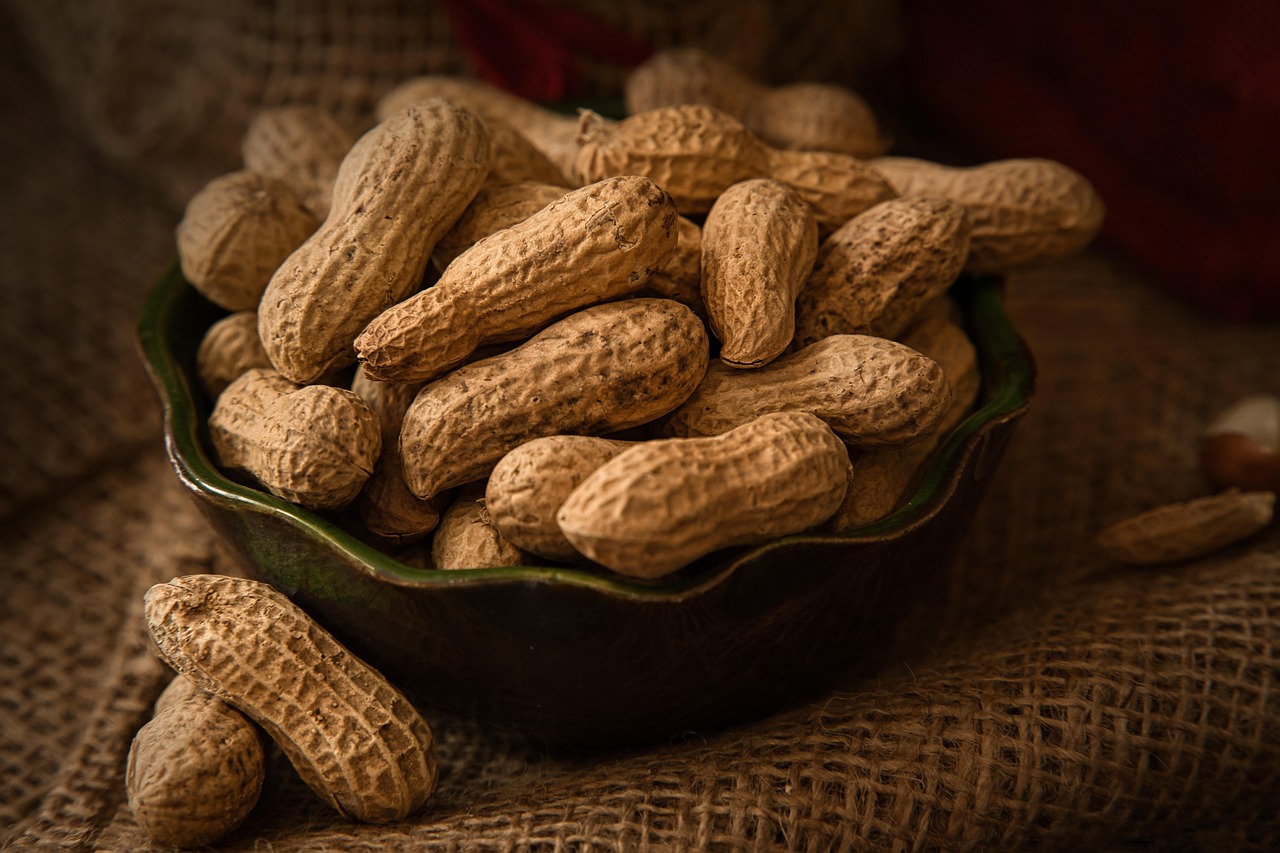 entdecken sie unsere gesunden snacks, die nicht nur köstlich, sondern auch nahrhaft sind. perfekt für unterwegs oder als kleinen genuss zwischendurch. bleiben sie fit und zufrieden mit unseren leckeren, ausgewogenen snack-optionen!