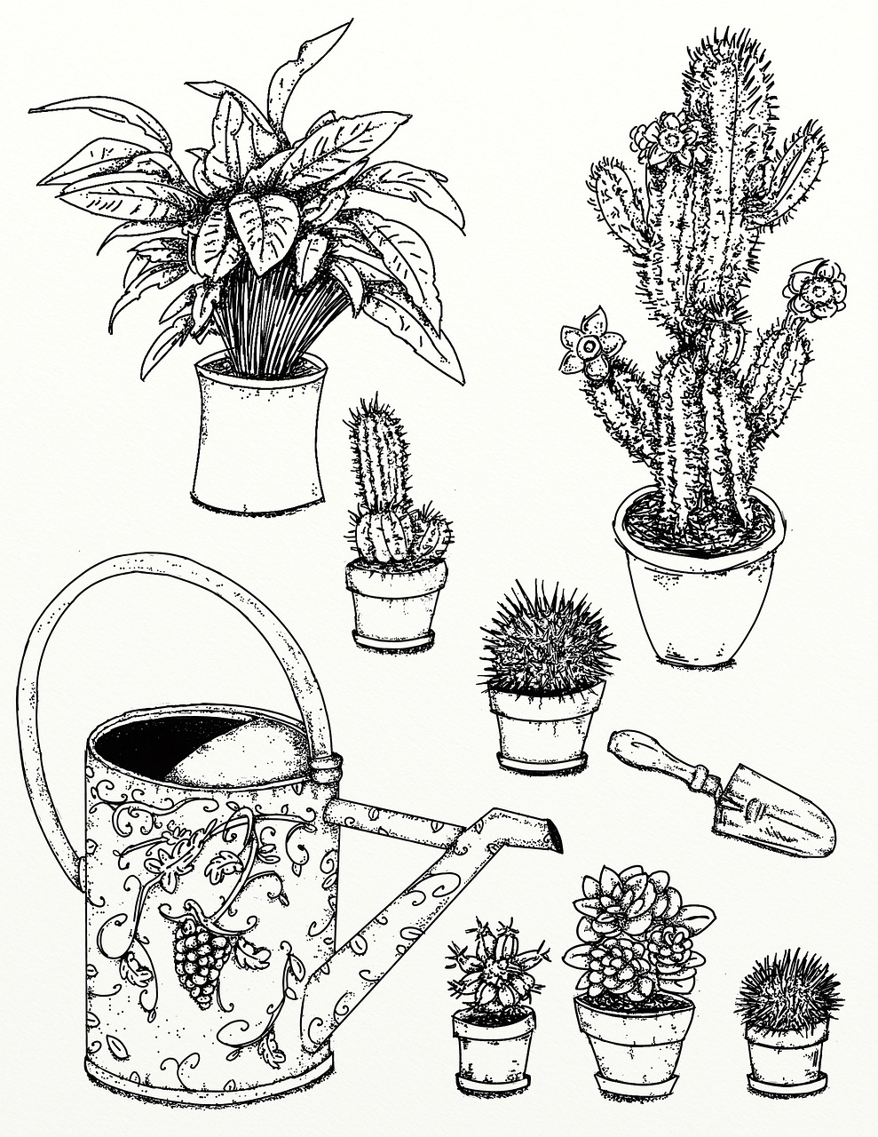 entdecken sie die welt des indoor-gardening! lernen sie, wie sie ihre eigenen pflanzen in innenräumen anbauen können, tipps zur pflege und gestaltung ihres grünen paradieses. ideal für anfänger und erfahrene gärtner!