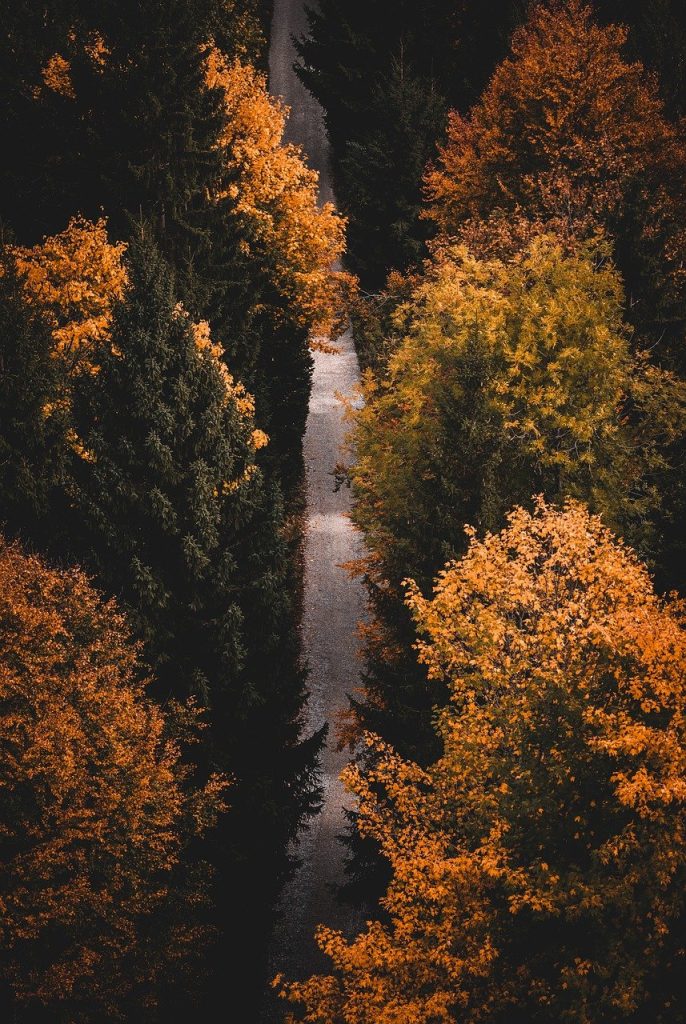 entdecken sie die kraft der achtsamkeit und wie sie ihr leben verbessern kann. lernen sie techniken zur stressbewältigung, für mehr gelassenheit und ein bewussteres leben.