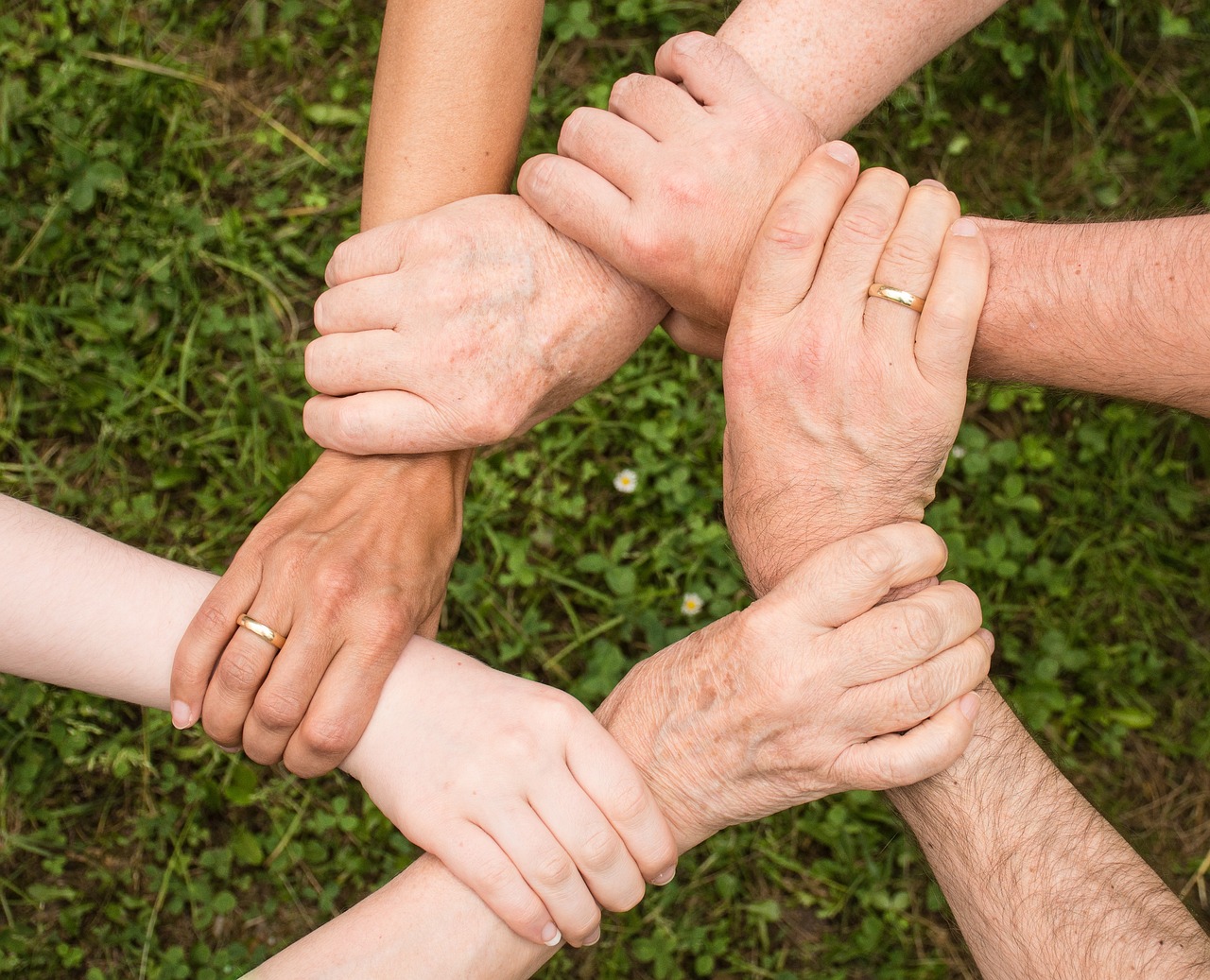 entdecken sie die kraft der gemeinschaft: vernetzen sie sich, teilen sie ideen und erleben sie inspirierende veranstaltungen in unserer dynamischen community.
