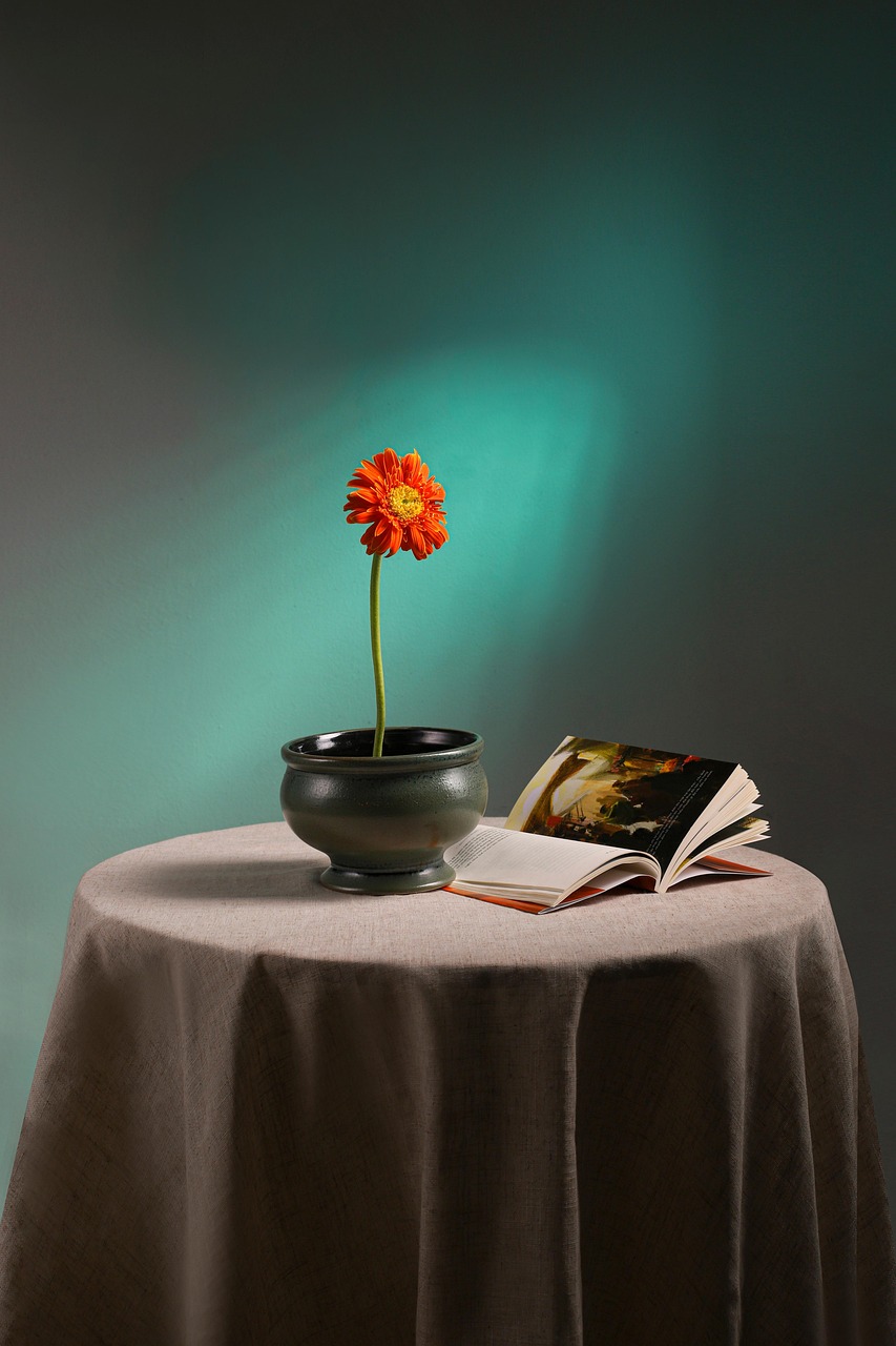 entdecken sie inspirierende ideen für die wohnkultur! verbessern sie ihr zuhause mit stilvollen dekoartikeln, die gemütlichkeit und persönlichkeit verleihen. lassen sie sich von unseren tipps und trends für eine liebevoll gestaltete wohnatmosphäre begeistern.