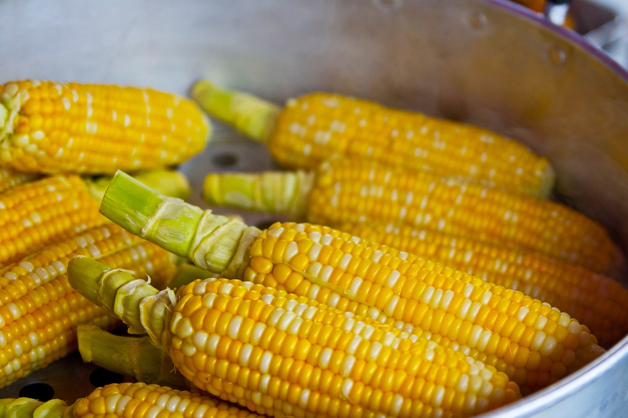 entdecken sie die grundlagen der ernährung: tipps für eine ausgewogene ernährung, gesunde rezepte und wertvolle informationen über nährstoffe für ein besseres wohlbefinden.