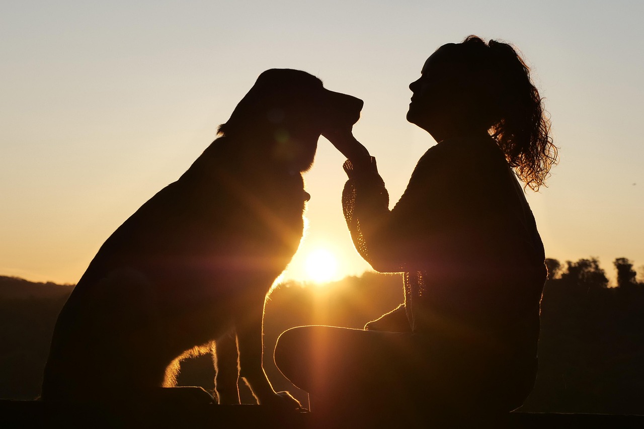 entdecken sie die wundervolle welt der tierliebe! erfahren sie, wie sie das leben ihrer haustiere verbessern und eine starke bindung zu ihnen aufbauen können. tipps, ratschläge und geschichten rund um die liebe zu ihrem vierbeinigen freund!