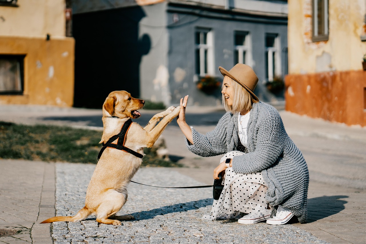 entdecken sie die schönsten momente der tierliebe! von herzerwärmenden geschichten über unsere pelzigen freunde bis hin zu tipps für die beste pflege – tauchen sie ein in die wunderbare welt der haustierliebe.