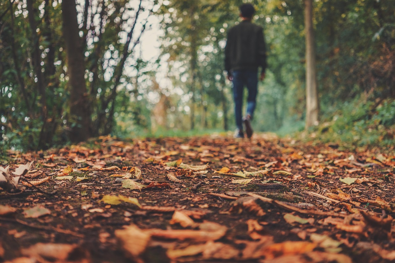 entdecken sie die neuesten herbsttrends! von stylischer mode bis hin zu angesagten accessoires – bleiben sie im herbst up to date mit unseren aktuellen trendtipps.