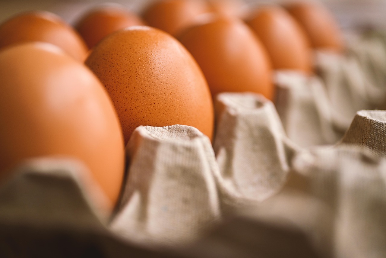entdecken sie die kunst des kochens mit unseren einfachen rezepten und hilfreichen tipps. von internationalen gerichten bis zu traditionellen familienrezepten – lassen sie ihrer kreativität in der küche freien lauf!